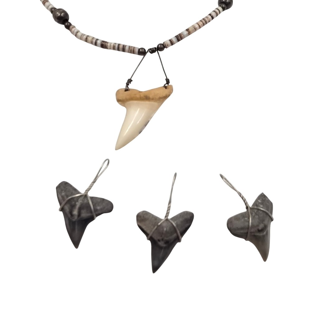 Handmade Shark Tooth Necklace and Fossilized Wire‎ Wrapped Pendants Set 4pc